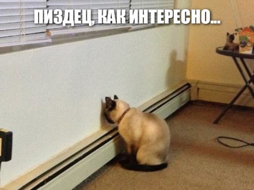 ну ладно дженифер, а остальные кто?..