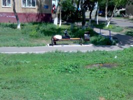 20 снимков из серии «Тем временем в…», которые высмеивают стереотипы о разных городах и странах