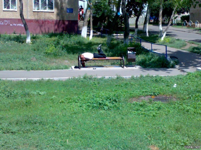 20 снимков из серии «Тем временем в…», которые высмеивают стереотипы о разных городах и странах