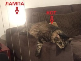 сказка.
Объясню почему.
Есть такая формулировка " источник повышенной опасности". Епучая но очень могучая.
Так вот даже если водила не виноват в дтп, лечение потерпевшего все равно должен оплатить водила.
это раз

прям так порвали заявления. Из чувства справедливости... Помогая незнакомому парню..
бред. это два

теперь о самом следствии. Упс, а чего й-то этим вдруг участковый занялся? А потом ОПЕРА из другого опорного? Вся первичка у гайцев.
это три

извините, кот пришел