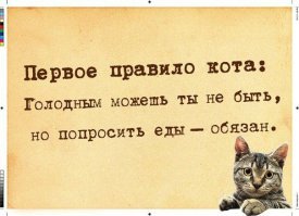 Прикольные и смешные картинки