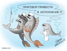 Рыба падла