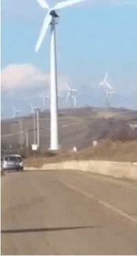 Прикиньте, сколько червяков там из земли повылазило.