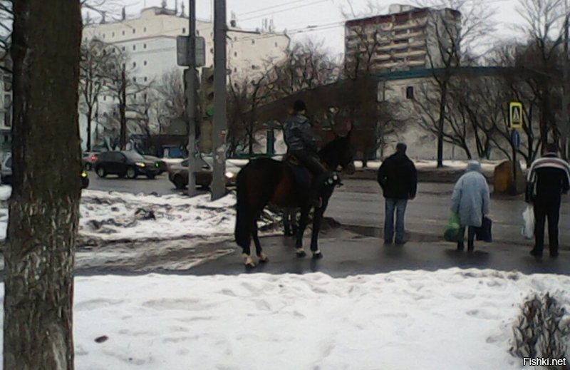 Тем временем в Москве