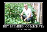 И только 0.5% использовало их так, как нужно!