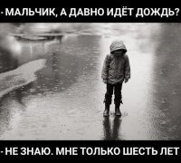 Точно питерские придумали! :)