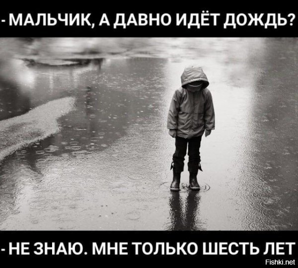 Точно питерские придумали! :)