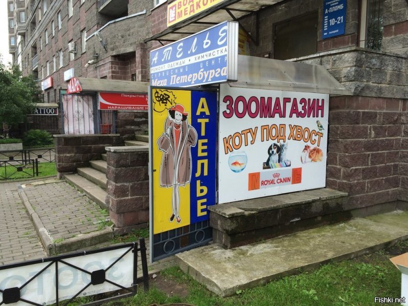 Санкт- Петербург