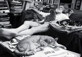 Знаменитые любители кошек: известные личности и их питомцы