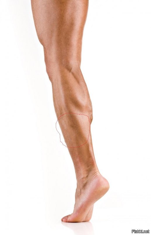 Не-е,ему теперь это подавай.