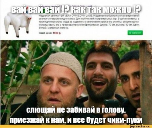 Прикольные и смешные картинки