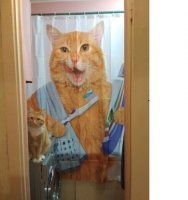 У меня дома такой кот висит в ванной и что странного в нём?