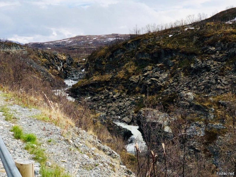 Ездил в конце мая в Норвегию на рыбалку, впечатлений масса! От необычной природы, шикарных видов, цен на бензин и на жильё) Был в Тромсё, моросит дождь постоянно, и жителей это не смущает. Они продолжают кататься на роликах и велосипедах или просто бегают, насквозь мокрые.. На счёт тюремного срока за превышение скорости: специально интересовались расценками, не нашел там про задержание. Может за рецидив? Самый большой штраф около 90тр на наши.