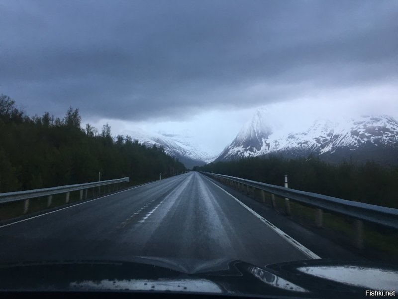 Ездил в конце мая в Норвегию на рыбалку, впечатлений масса! От необычной природы, шикарных видов, цен на бензин и на жильё) Был в Тромсё, моросит дождь постоянно, и жителей это не смущает. Они продолжают кататься на роликах и велосипедах или просто бегают, насквозь мокрые.. На счёт тюремного срока за превышение скорости: специально интересовались расценками, не нашел там про задержание. Может за рецидив? Самый большой штраф около 90тр на наши.