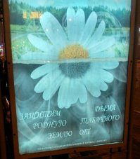 Тут походу магистр Йода постарался))