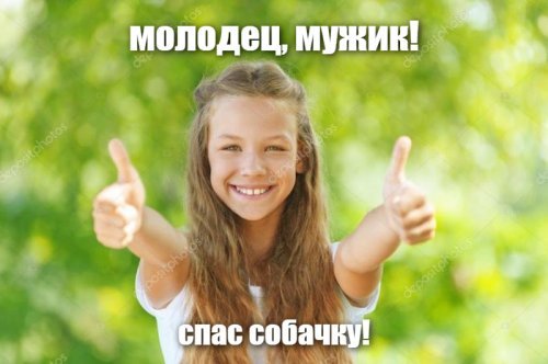 Британец разбил окно чужой машины, чтобы спасти...плюшевую собаку