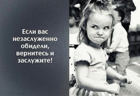 Прикольные и смешные картинки