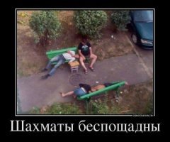 "Король (!!) ставит шах..."