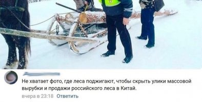 Если лес вырубили и отвезли китайцам - то что же там горит?