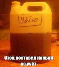Прикольные и смешные картинки