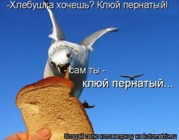 С добрым утром!