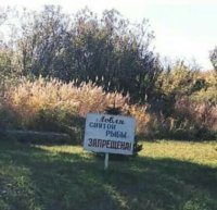 Святая рыбасв святой воде?