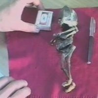 Это же пропавший Алёшенька. Из Кыштыма.