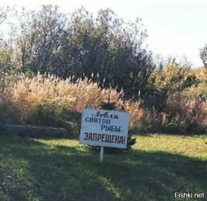 Святая рыбасв святой воде?