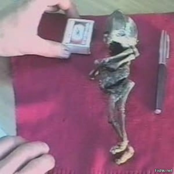 Это же пропавший Алёшенька. Из Кыштыма.