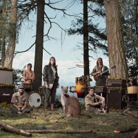 Это конверт CD и LP группы Wild Orchid Children  – The Wild Orchid Children Are Alexander Supertramp 2010