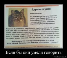 Бродячие собаки в Новой Москве насмерть загрызли мою кошку