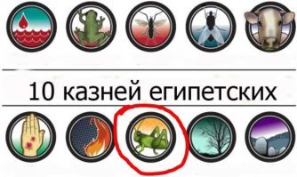 Лас-Вегас «атаковали» миллионы «сумасшедших» кузнечиков