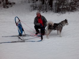 маламут Роузи ( справа ))))))))))))))))