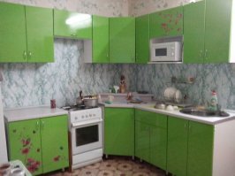 Моя кухня. Плиту поменял и холодильник новый поставил.