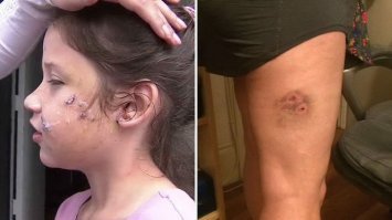 Мне кажется, иллюстрации приведённые к статье не совсем корректно отображают суть принятого перечня. Думаю, такие фотографии будут лучше сочетаться.
P.S. Породы не отбирал, брал что нашел.
