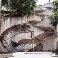 20 граффити от французского мастера, чьи змеи, скорпионы и динозавры выглядят живее всех живых