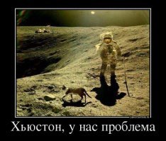 Прикольные и смешные картинки
