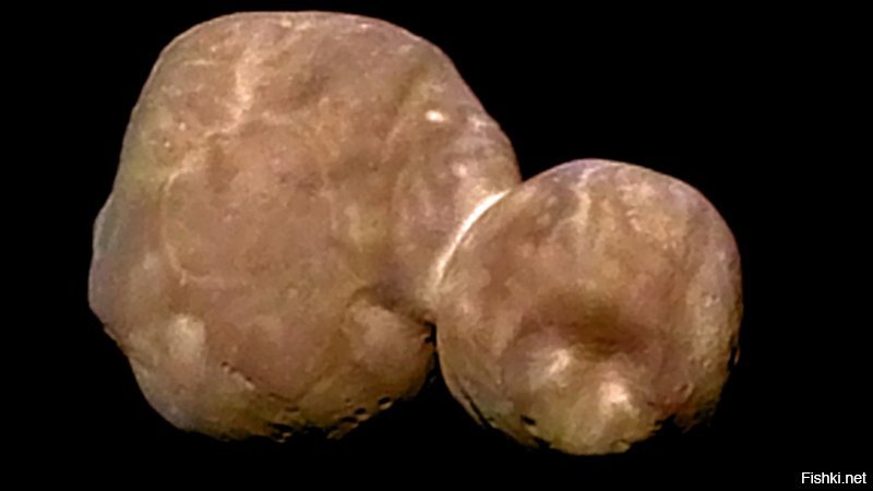 Сейчас считается, что подобная форма в виде двух слипшихся ядер планетезималей является  преобладающей среди комет внутренней части Солнечной системы или их зародышей в Поясе Койпера. К примеру объекты  Ультима Туле, комета Галлея, Борелли, Чурюмова-Герасименко, Хартли-2 имеют именно такое двухядерное строение.