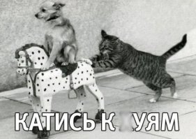 Грязь и убожество, это у тебя в башке.