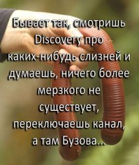 Маленький мальчик изо всех сил пытается не слушать Бузову