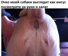 пффф