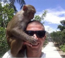 Если сократить статью, то как то так получается...