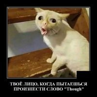 Во дворе многоэтажки кот хоронит труп какашки.