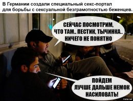 В Германии мигрантов научат правильному сексу с немками