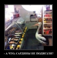 Четверг - рыбный день

.