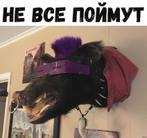 Такая разная и манящая Калифорния