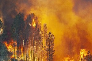 Самые жуткие массовые самоубийств в истории человечества