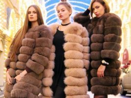 Какой был писец, такой и остался! Полинял только для некоторых