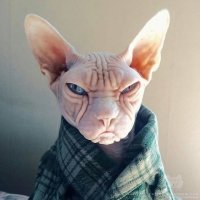 Тоже скучает...