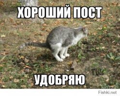 Если бы животные могли разговаривать: 25 смешных комиксов